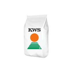 Owies KWS OCRE C1