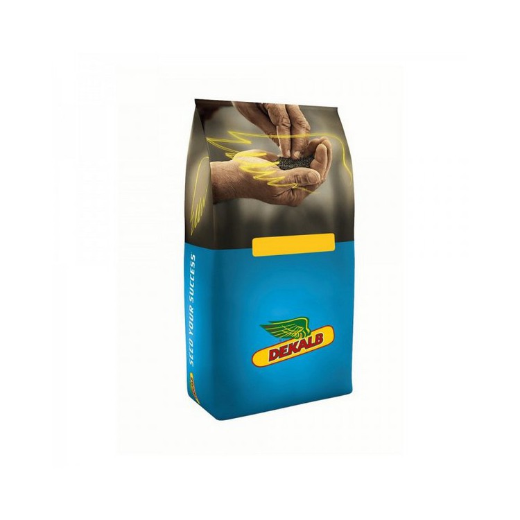 Rzepak ozimy DK EXPORTER F1 C1 Rzepak ozimy DK EXPORTER F1 C1