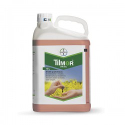 Tilmor 240 EC