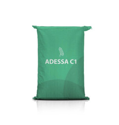 Soja Adessa – wczesna, wysoki plon, silny wigor, MTN ~187 g