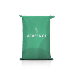 Soja Acassa – wczesna, wysoki plon, odporna, łatwy zbiór, jasne znamię