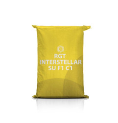 Słonecznik RGT Interstellar – wysoki plon, odporny, 60–75 tys./ha