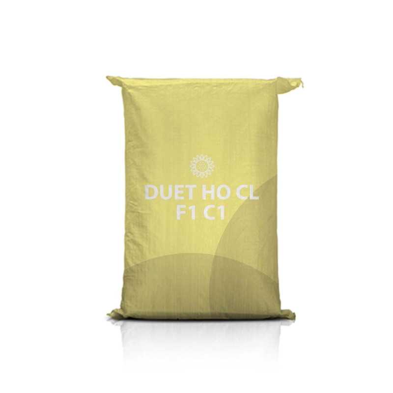 Słonecznik DUET HO CL F1 C1