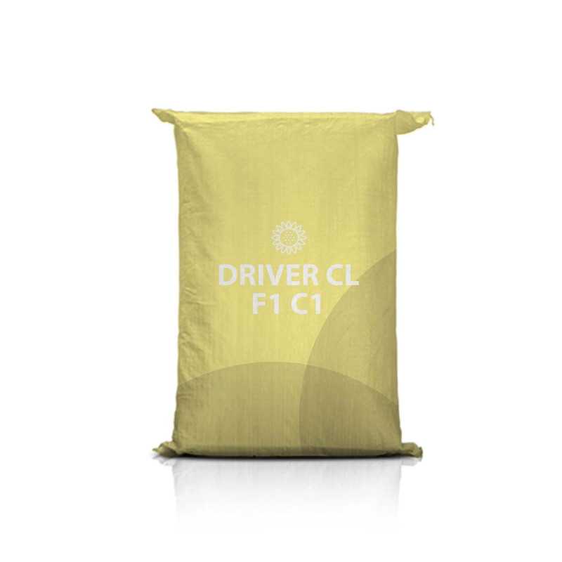 Słonecznik DRIVER CL F1 C1