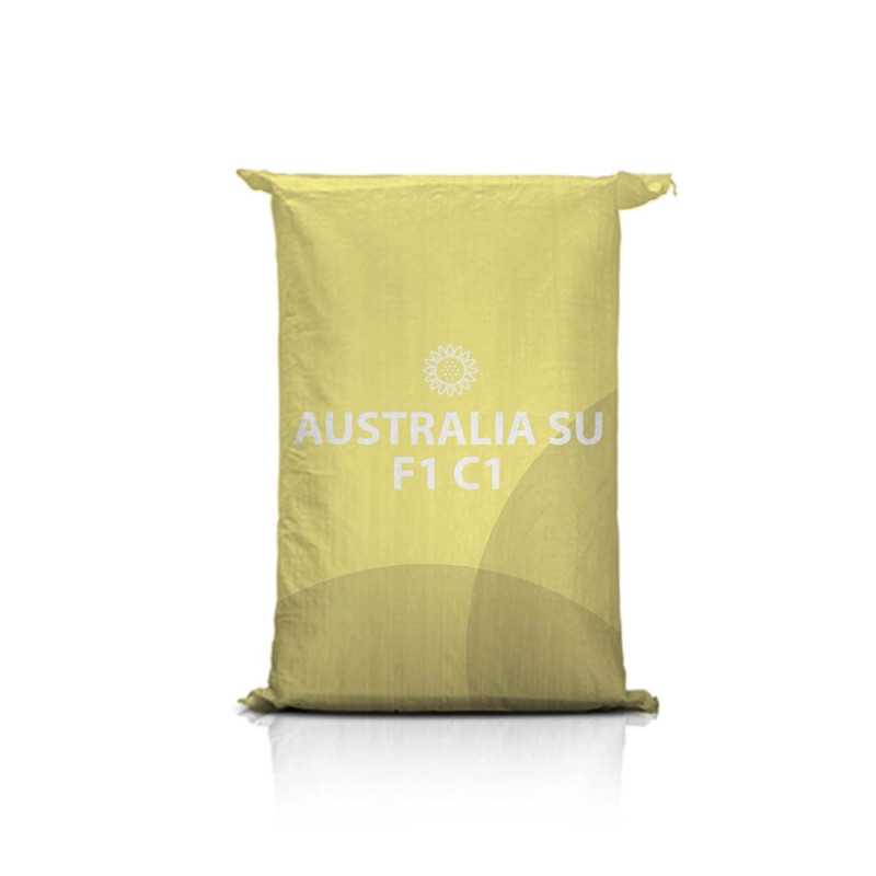 Słonecznik AUSTRALIA SU F1 C1