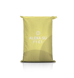 Słonecznik Alexa SU – linolowy, wczesny, toleruje suszę, odporny