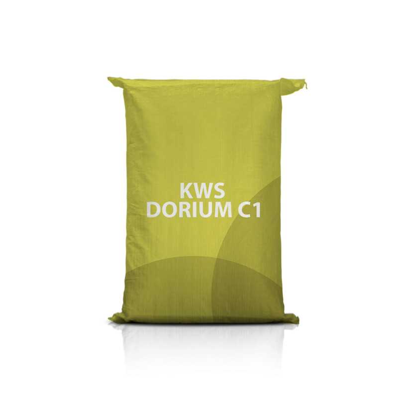Pszenica jara KWS DORIUM C1 Pszenica jara KWS DORIUM C1