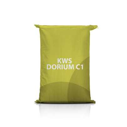 Pszenica jara KWS Dorium C1 – wysoki plon; wysokie białko i liczba opadania; elastyczny siew; odporna na mączniaka i rdzę.
