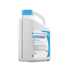 Poleposition 300 EC – układowy fungicyd do zbóż i rzepaku (FRAC 3)