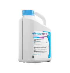Phoenix 500 SC – folpet 500 g/l, kontaktowy fungicyd do zbóż