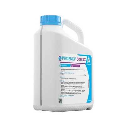 Phoenix 500 SC – folpet 500 g/l, kontaktowy fungicyd do zbóż