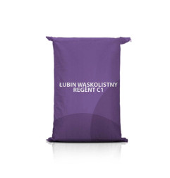 Łubin wąskolistny Regent – niskie alkaloidy, odporność, plon 25–30 dt/ha