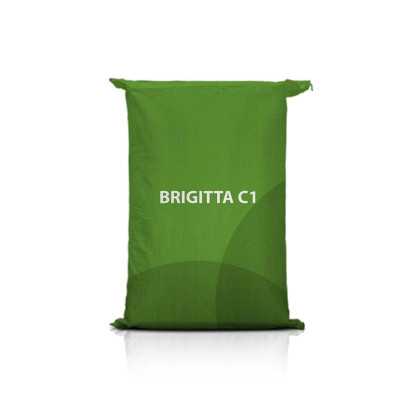 Jęczmień jary BRIGITTA C1