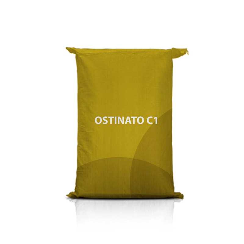 Groch siewny OSTINATO C1 Groch siewny OSTINATO C1