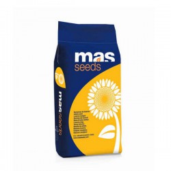 Słonecznik MAS 85.SU F1 C1
