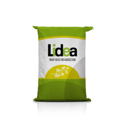 Rzepak ozimy LID HELLO F1 C1