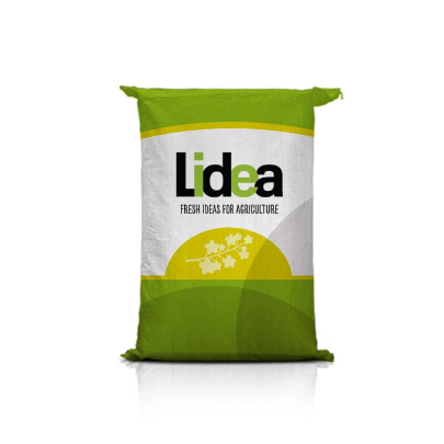 Rzepak ozimy LID HELLO F1 C1