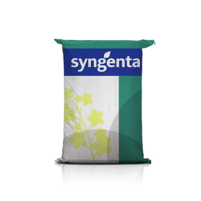 Rzepak ozimy SY AGANOS F1 C1