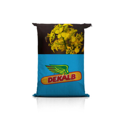 Rzepak ozimy DK EXPOSE F1 C1