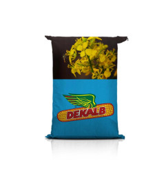 Rzepak ozimy DK EXCITED F1 C1