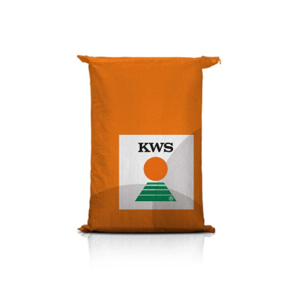 Rzepak ozimy KWS LAUROS F1 C1