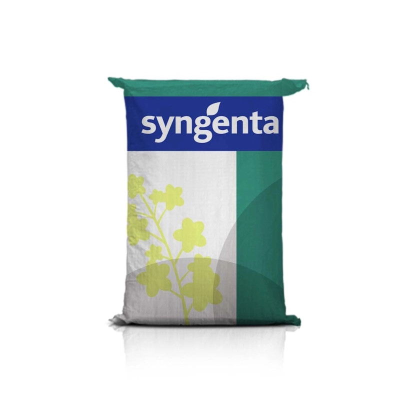 Rzepak ozimy SY ALIBOOM F1 C1 Rzepak ozimy SY ALIBOOM F1 C1