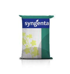 Rzepak ozimy SY ALIBABA F1 C1