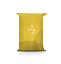 Rzepak ozimy ATORA F1 C1