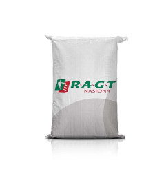 Jęczmień ozimy RGT MELA C1