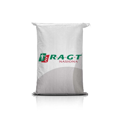 Jęczmień jary RGT GAGARIN C1