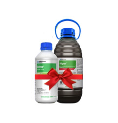 Belkar + Kliper (4h)