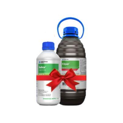 Belkar + Kliper (4h)