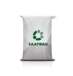 Pszenica ozima ARTIMUS C1