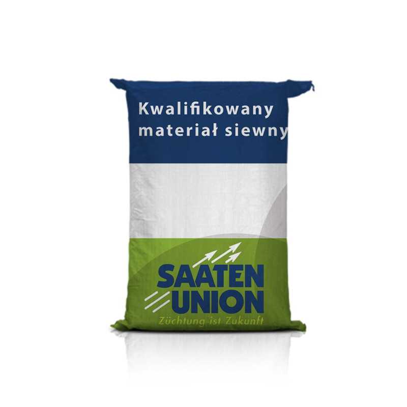 Pszenica ozima BANATUS C1