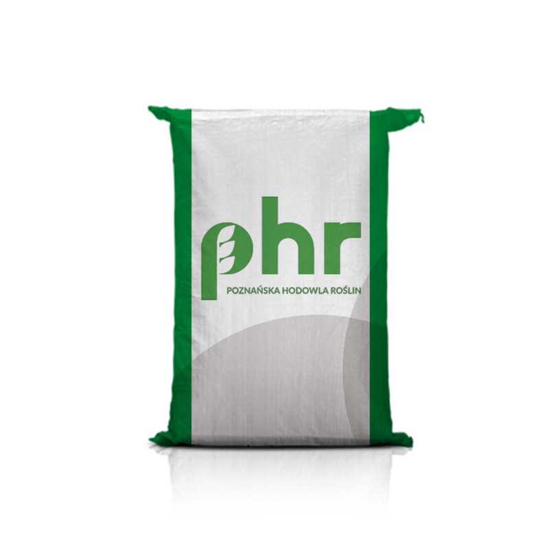 Nasiona pszenicy ozimej Essa C1 – plon 108% COBORU, średnio-wczesna, silne krzewienie, odporna na suszę i choroby