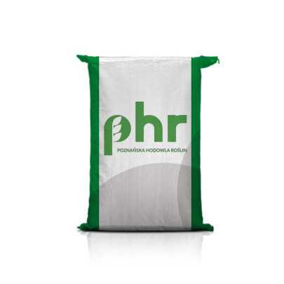 Nasiona pszenicy ozimej Essa C1 – plon 108% COBORU, średnio-wczesna, silne krzewienie, odporna na suszę i choroby