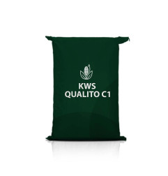 Kukurydza KWS QUALITO C1