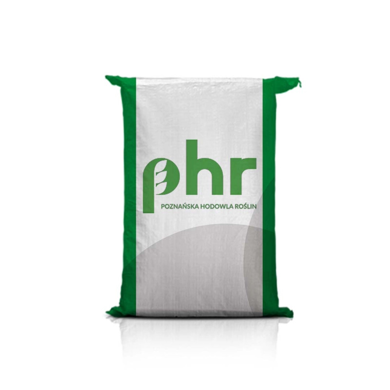 Pszenica ozima ESSA C1 Pszenica ozima ESSA C1