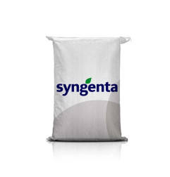 Pszenica ozima EUCLIDE C1