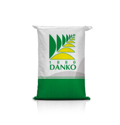 Nasiona pszenicy ozimej Alegoria C1 (DANKO) – wysoki plon, odporna na suszę i upały, MTZ ~50 g, siew 300–350 ziaren/m²