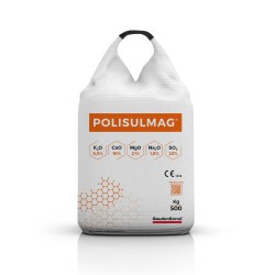 Polisulmag