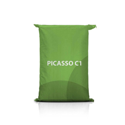 Jęczmień ozimy PICASSO C1