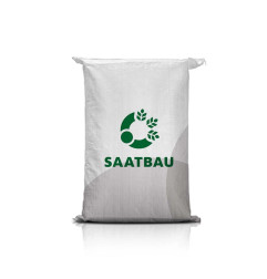 Pszenica ozima GUIDO C1