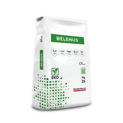 Belenus