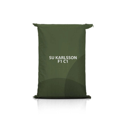 Żyto ozime SU KARLSSON F1 C1