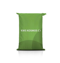 Jęczmień ozimy KWS KOSMOS C1