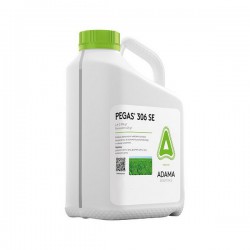 Pegas 306 SE