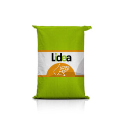 Kukurydza ES HATTRICK C1 ziarno do bioetanolu