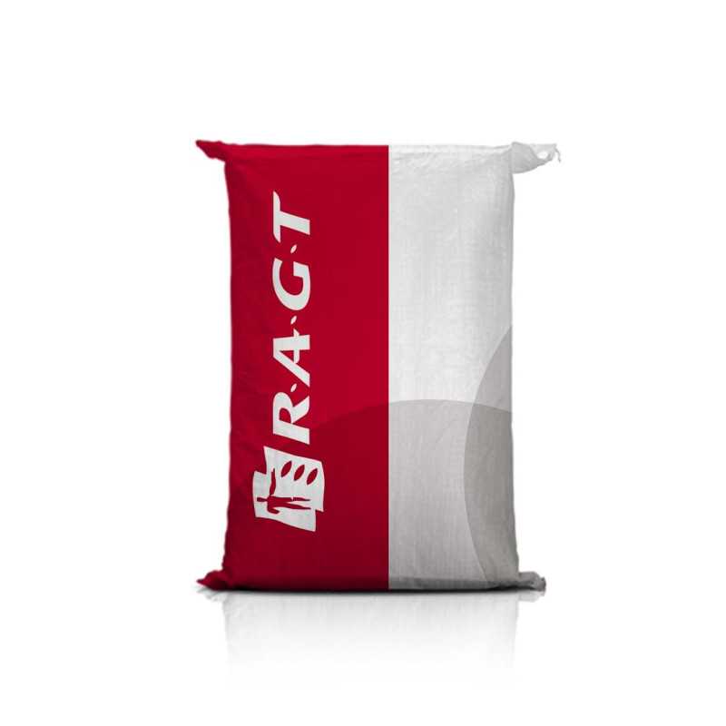 Kukurydza RGT ALOEXX C1