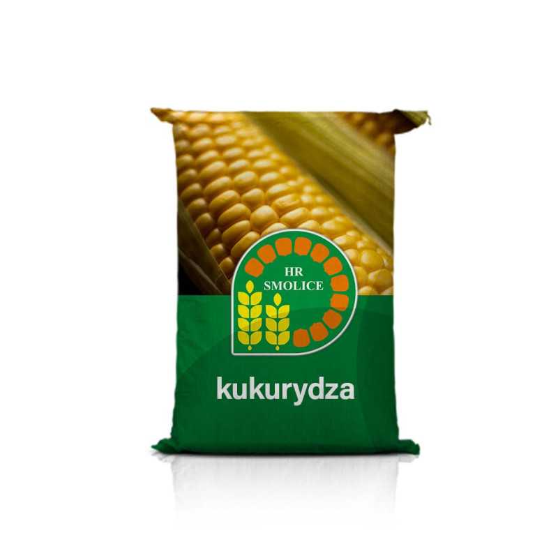 Kukurydza KONKURENT C1